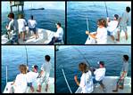 (13) montage (rig fishing).jpg    (1000x720)    398 KB                              click to see enlarged picture